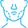 Лицо
